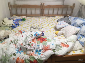 巧妙合并与定制 如何将两张1.2米床打造为舒适大床体验