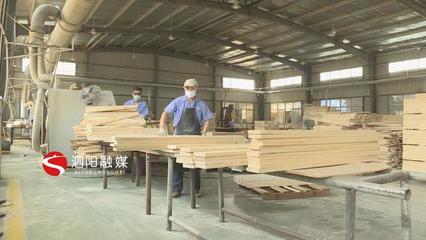 新袁镇 严格对照标准，扎实推进木材加工与家具制造业转型升级